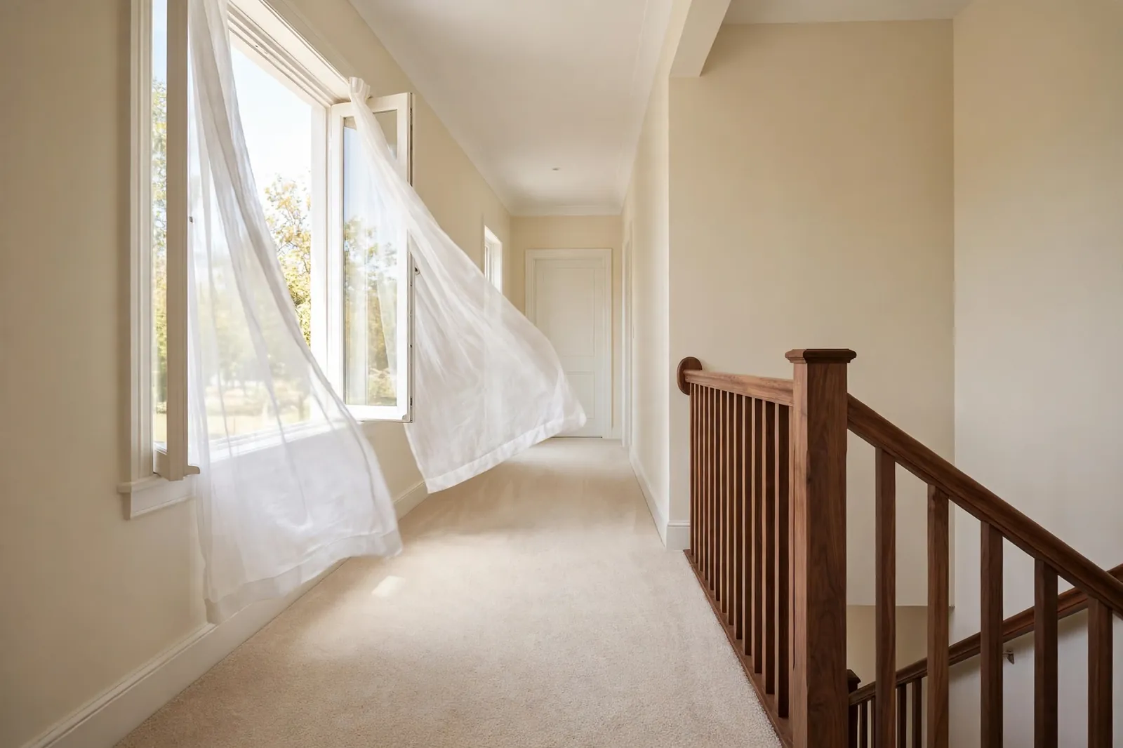 Carpet Deodorizing — Carpet Deodorizing in Carrington by Waldorf Carpet Cleaning and Upholstery Company